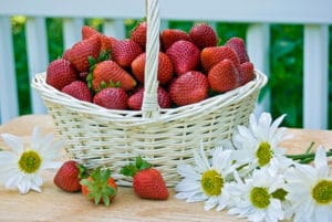 White basket of strawberries on table with daisies